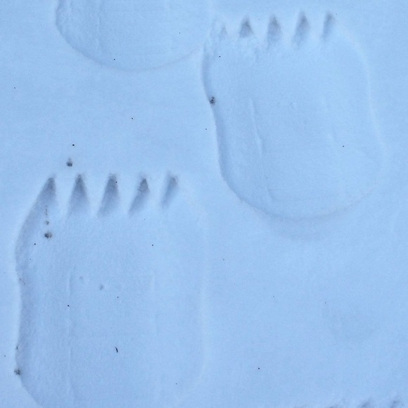 Snow Prints NIP w/Purple Shoe Straps - Picture 2 of 11